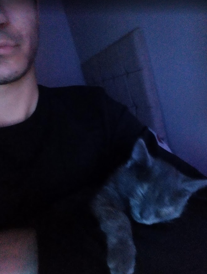 cat12